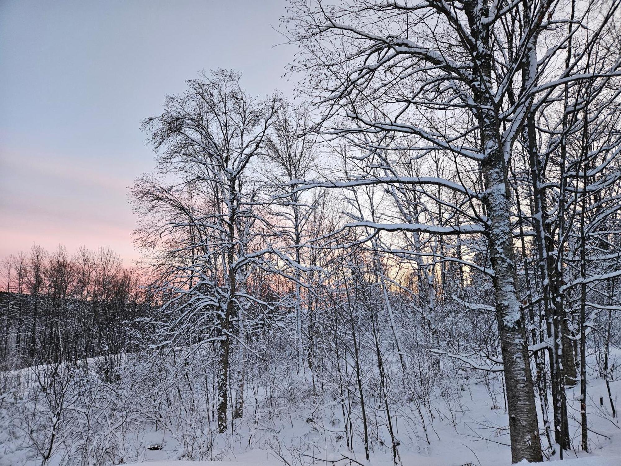 Вілла Parc Du Mont-Citadelle Saint-Honore-de-Temiscouata Екстер'єр фото