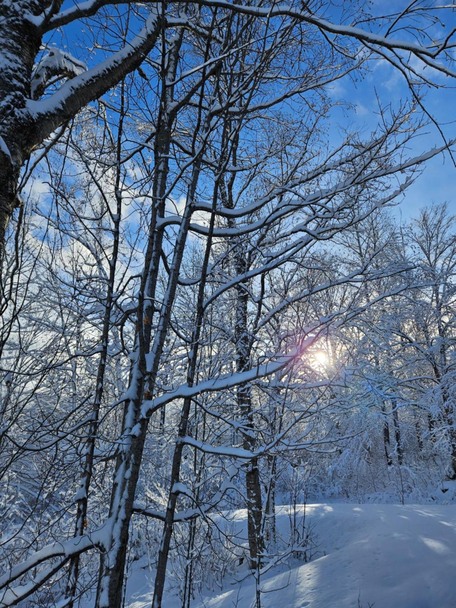 Вілла Parc Du Mont-Citadelle Saint-Honore-de-Temiscouata Екстер'єр фото